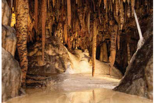 Snowy Mountains Yarrangobilly Caves